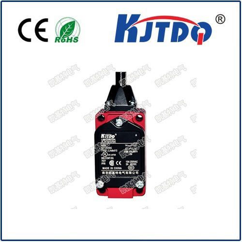 KJT-XW5K IP66 10A 250VAC 350 ℃ High Temperature Oilproof Limit Switch 