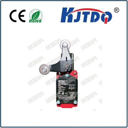 KJT-XW10K IP66 10A 250VAC High Temperature 350/550℃ Limit Switch 
