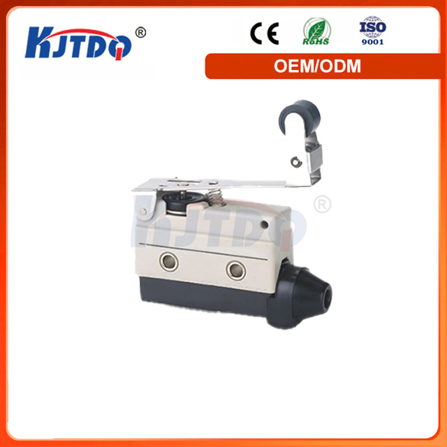 KE-8231 IP65 Waterproof 10A 250VAC Plastic High Performance Limit Switch Small