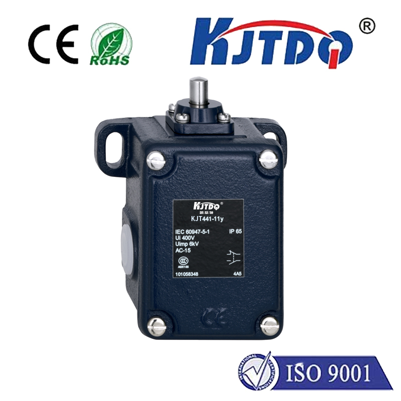 KJT IP65 440V High Temperature Resistent Roller Straight Heavy Duty Limit Switch